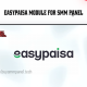 EasyPaisa Payment Module for SMM Panel